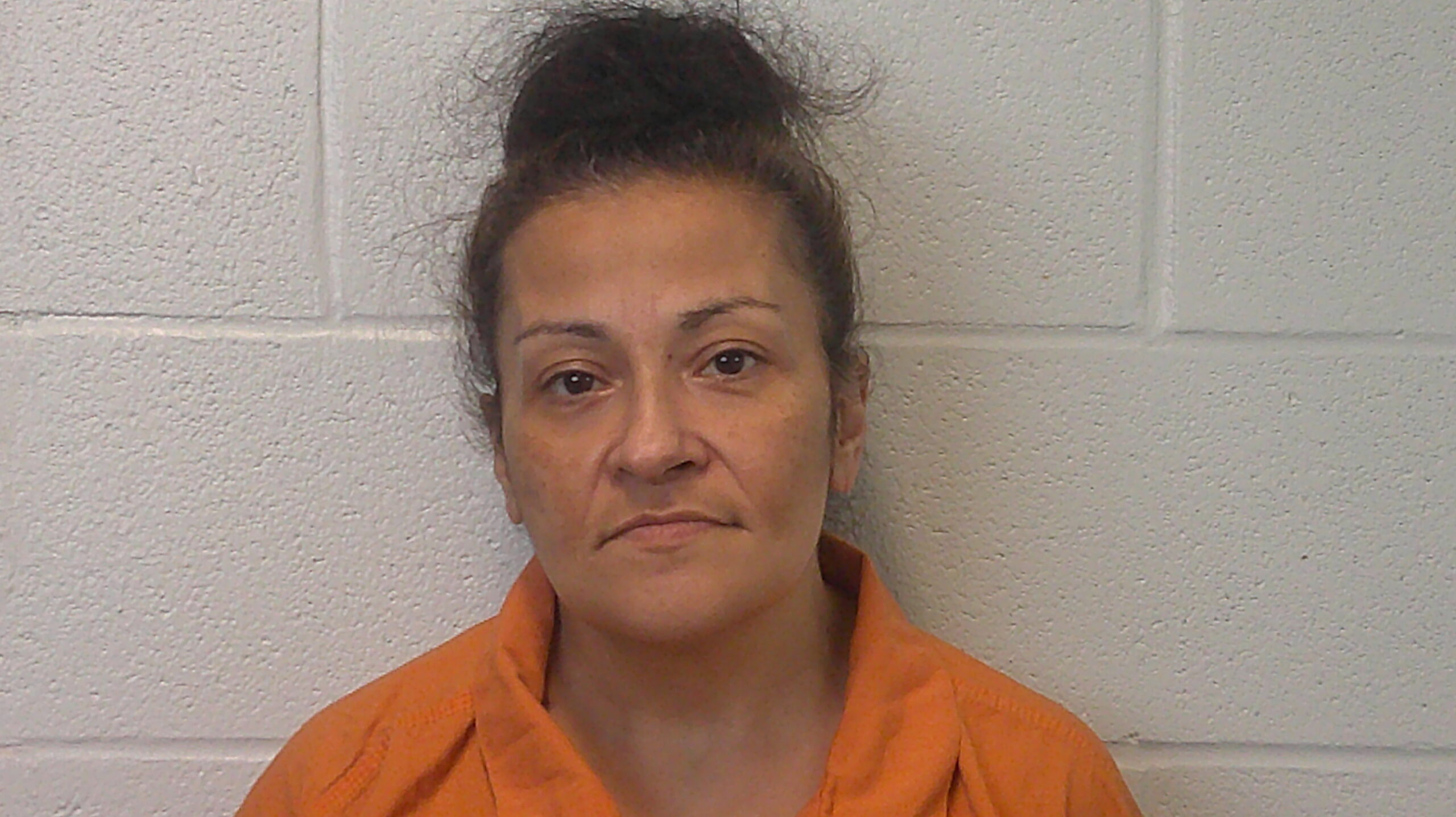 CATALA, PATRICIA ANN booking photo