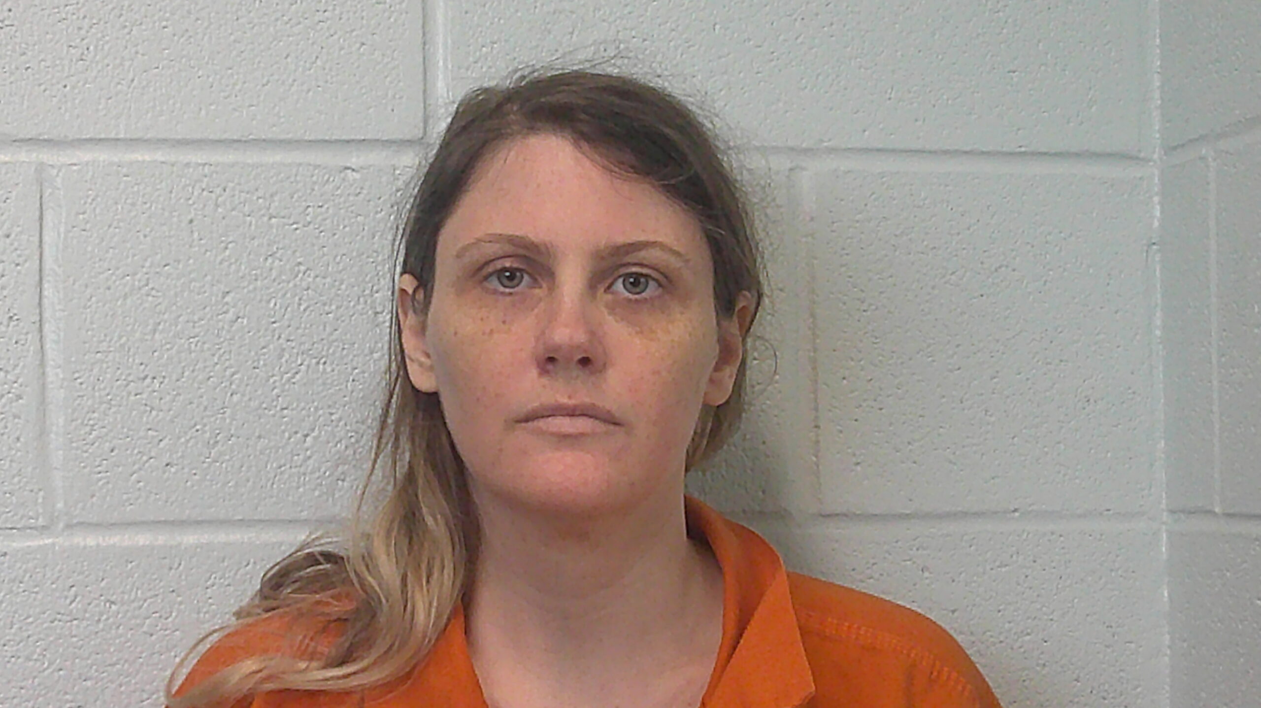 SPAETH, ELIZABETH booking photo