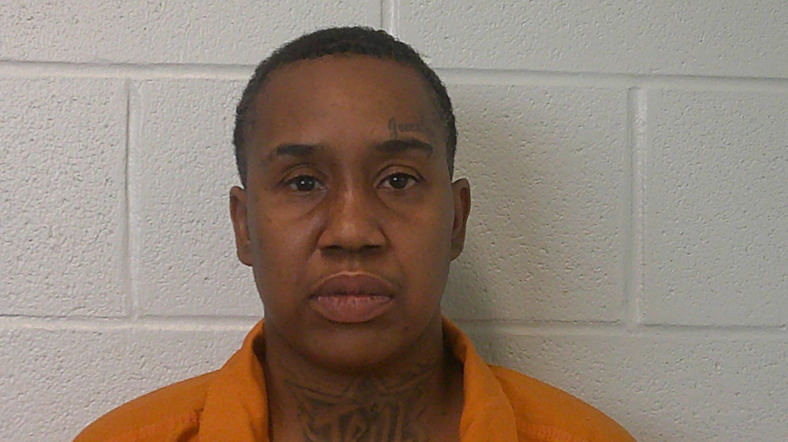 WADE, TANEISHA booking photo