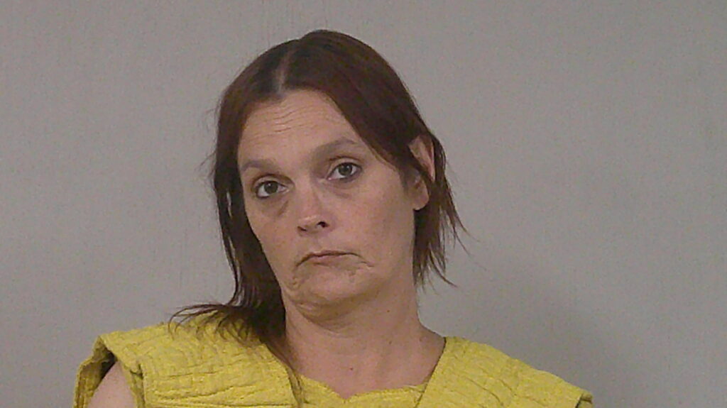 SCHLOSSER, NICOLE MICHAELA arrested in Burnet County, Texas mugshot