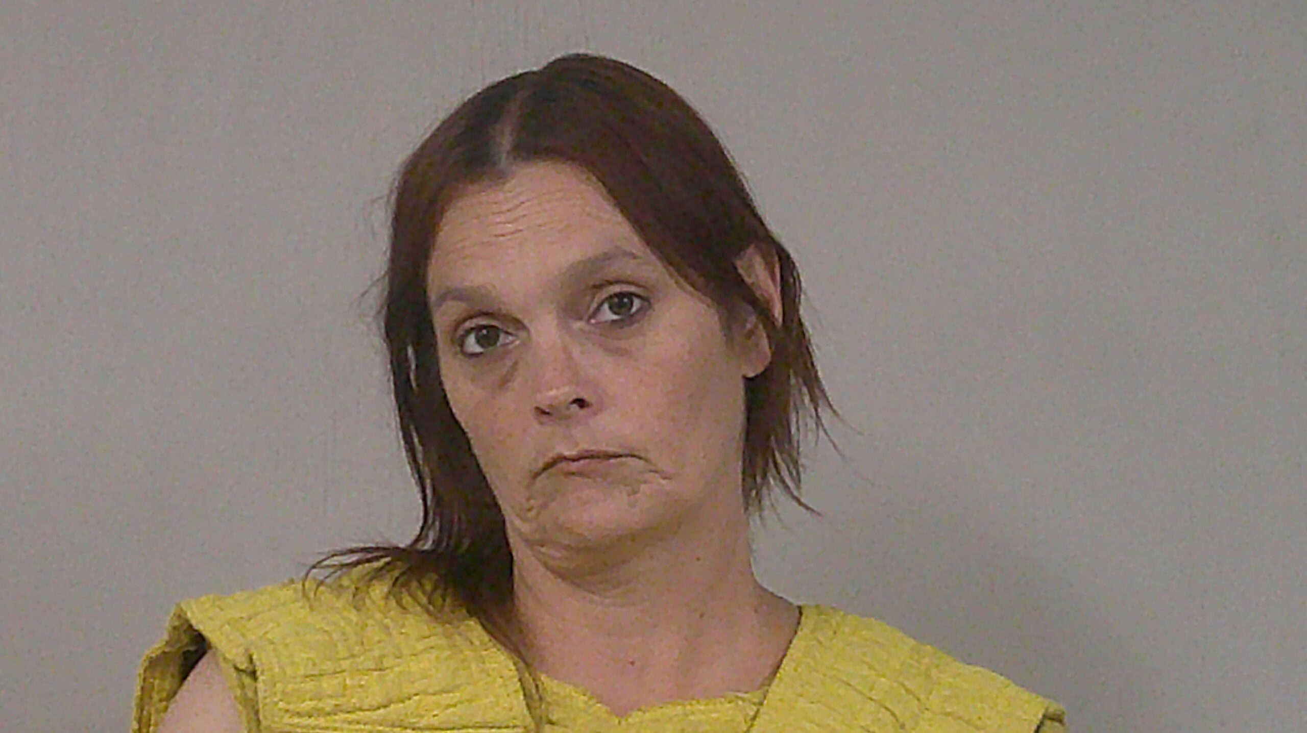 SCHLOSSER, NICOLE MICHAELA booking photo