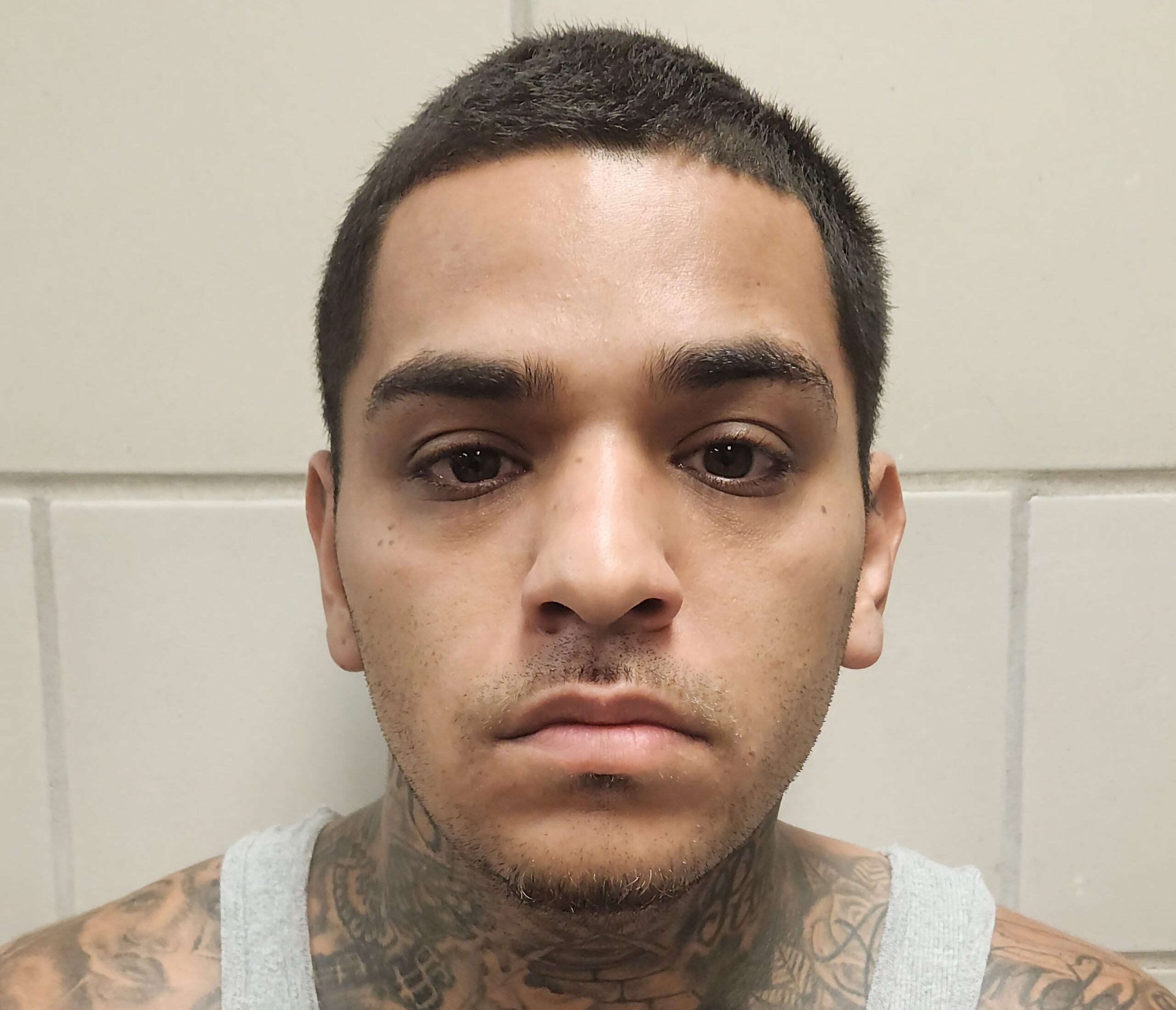 TERRAZAS, JOEL ANTHONY booking photo