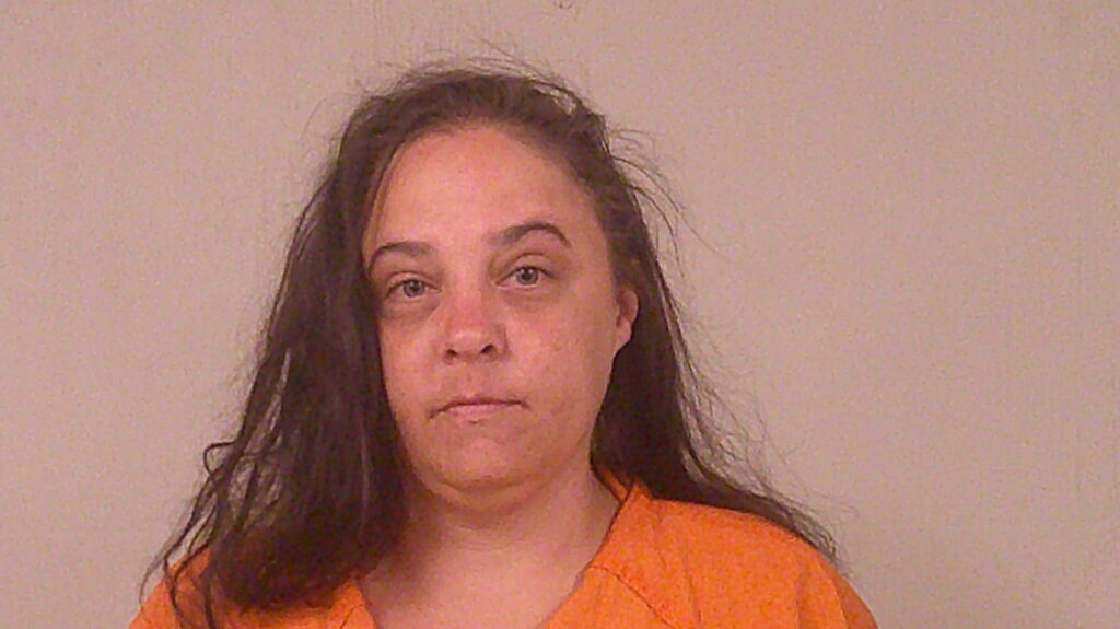 WILLIAMS, JENNIFER LEIGH arrested in Burnet County, Texas mugshot