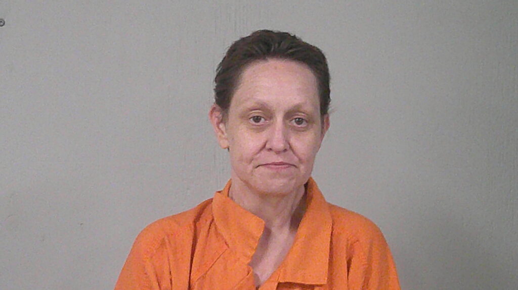 CODY, MICHELE ANNETTE arrested in Burnet County, Texas mugshot