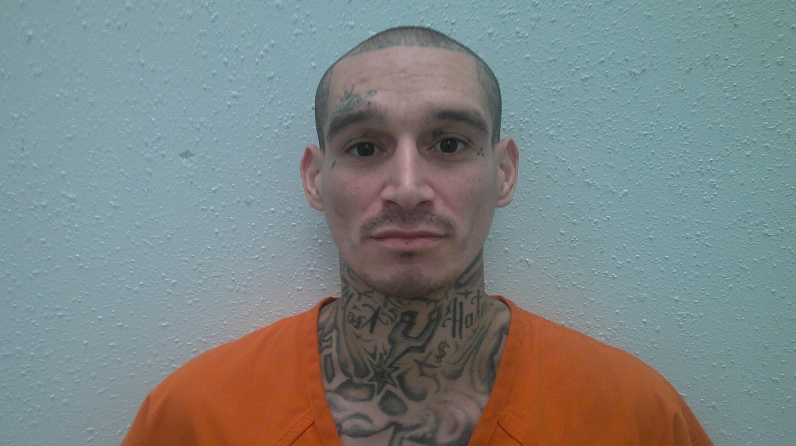 LOPEZ, DAVID booking photo