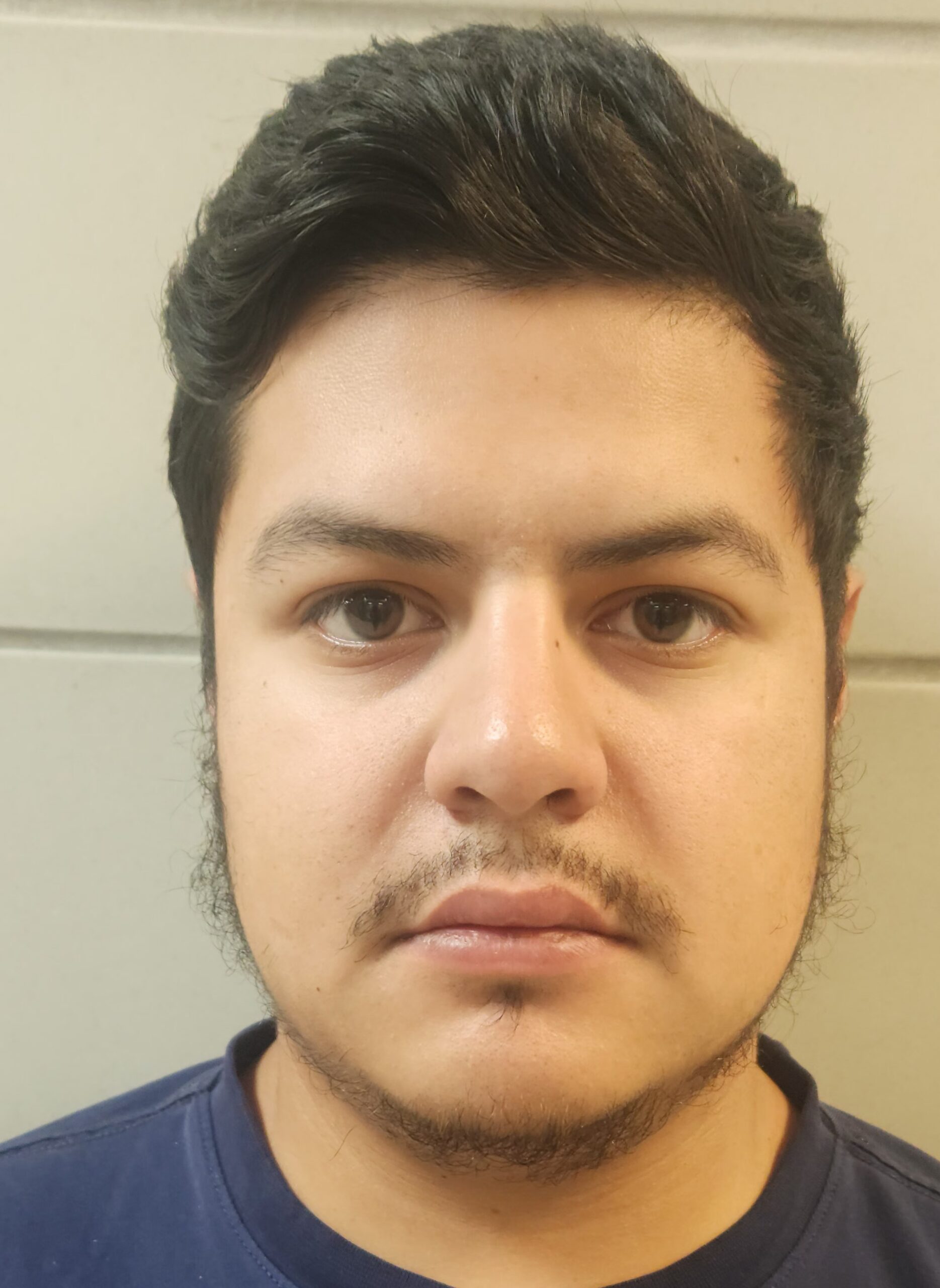FLORES, HECTOR HOMERO ERVEY booking photo