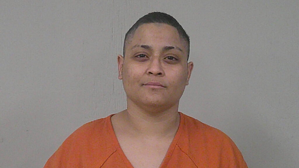 HERNANDEZ, CARMEN arrested in Burnet County, Texas mugshot