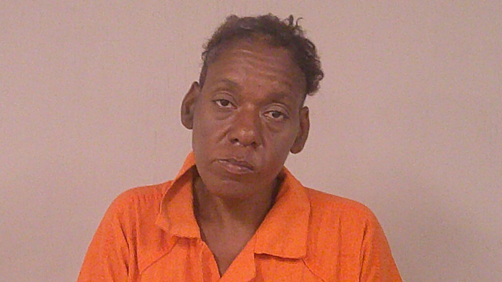 BUCKNER, GLENNDA ANNE-SHEREE arrest record in Burnet County, Texas BUCKNER, GLENNDA ANNE-SHEREE arrested in Burnet County, Texas mugshot