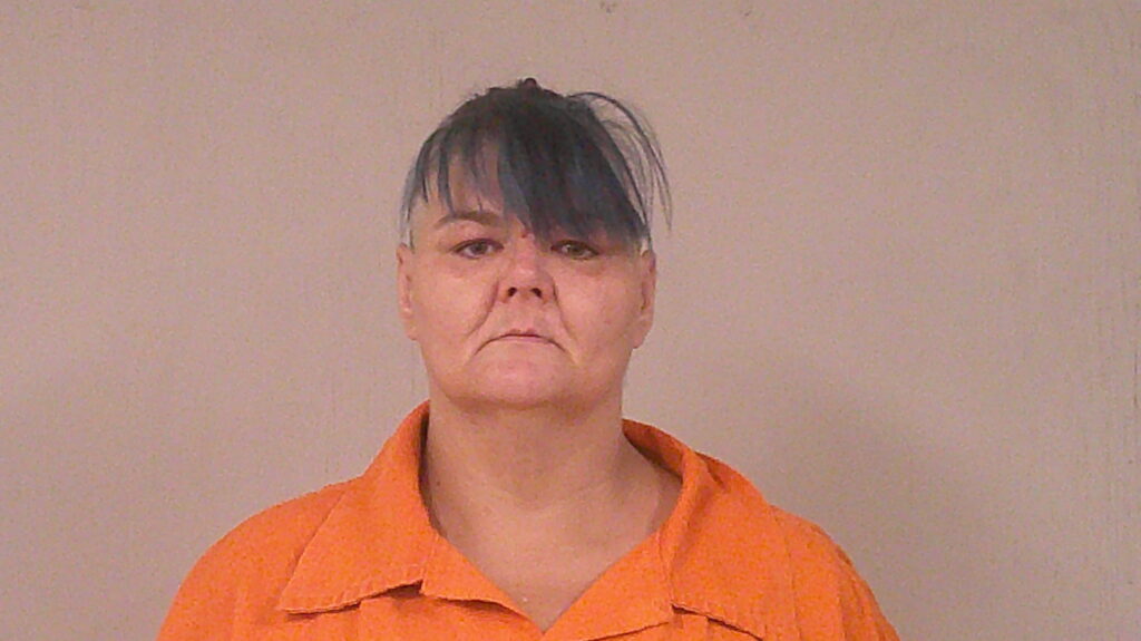 BUTCHER, ERIN arrested in Burnet County, Texas mugshot
