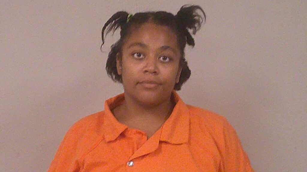BROOKS, CHEYENNE DENISE arrest record in Burnet County, Texas BROOKS, CHEYENNE DENISE arrested in Burnet County, Texas mugshot