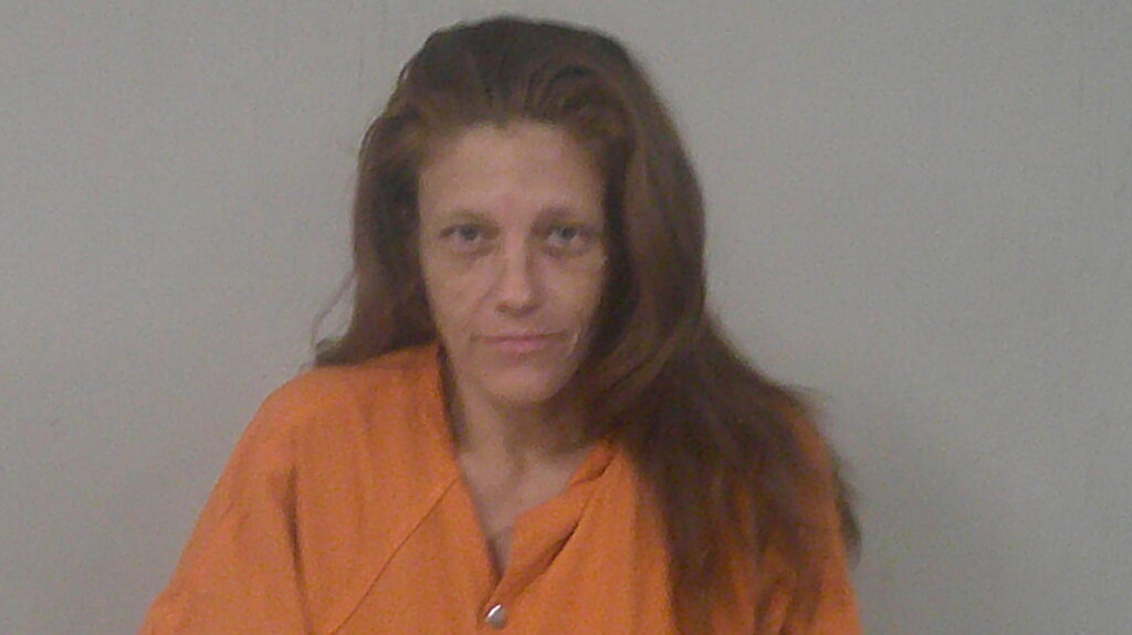 MCNAIR, SHANNON MICHELLE arrest record in Burnet County, Texas MCNAIR, SHANNON MICHELLE arrested in Burnet County, Texas mugshot
