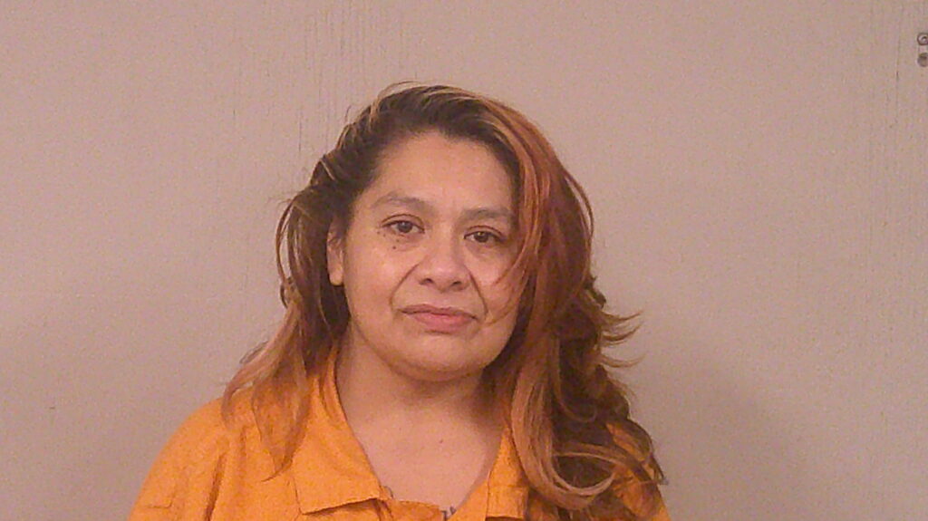 ESPINOSA, GUADALUPE arrested in Burnet County, Texas mugshot