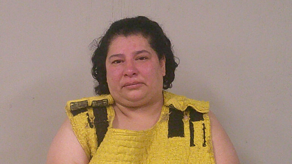 GONZALES, STEPHANIE MICHELLE arrest record in Burnet County, Texas GONZALES, STEPHANIE MICHELLE arrested in Burnet County, Texas mugshot