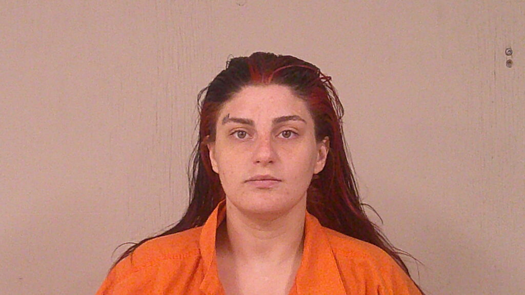 WAGGONER, MADISON BROOKE arrest record in Burnet County, Texas WAGGONER, MADISON BROOKE arrested in Burnet County, Texas mugshot