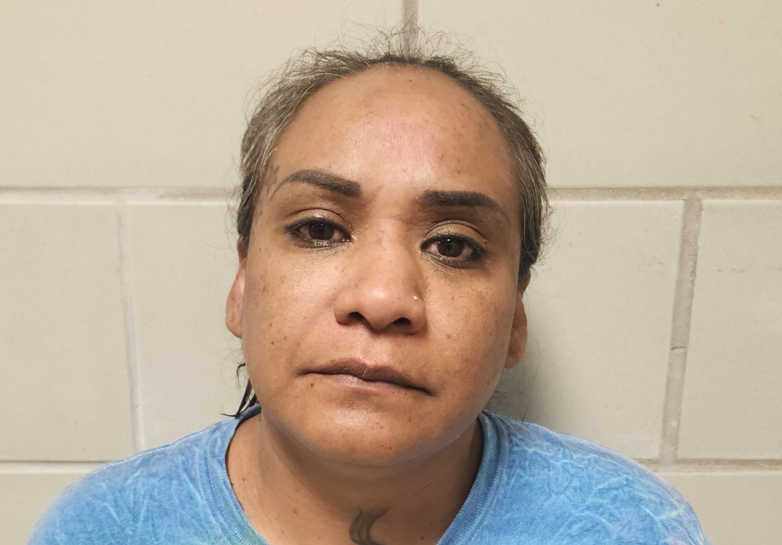 TREVINO, ANA ALICIA booking photo