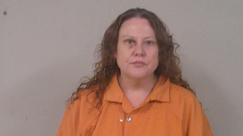 SCHNITZLER, RACHEL LYNN arrested in Burnet County, Texas mugshot
