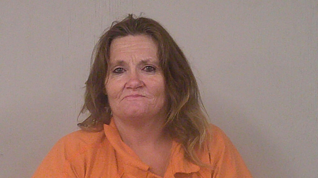 MAYNARD, PATRICIA MICHELLE arrest record in Burnet County, Texas MAYNARD, PATRICIA MICHELLE arrested in Burnet County, Texas mugshot