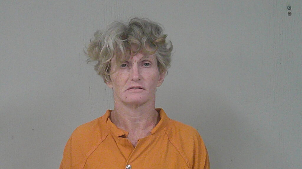 SAUCE, ROXANNE DENISE arrest record in Burnet County, Texas SAUCE, ROXANNE DENISE arrested in Burnet County, Texas mugshot