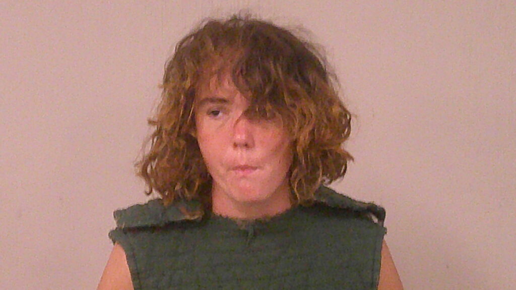 WALSH, SHAWN ALEXIS arrested in Burnet County, Texas mugshot