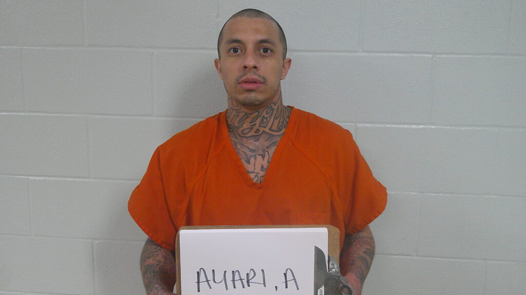 AMIR, AYARI arrest record in Burnet County, Texas AMIR, AYARI arrested in Burnet County, Texas mugshot