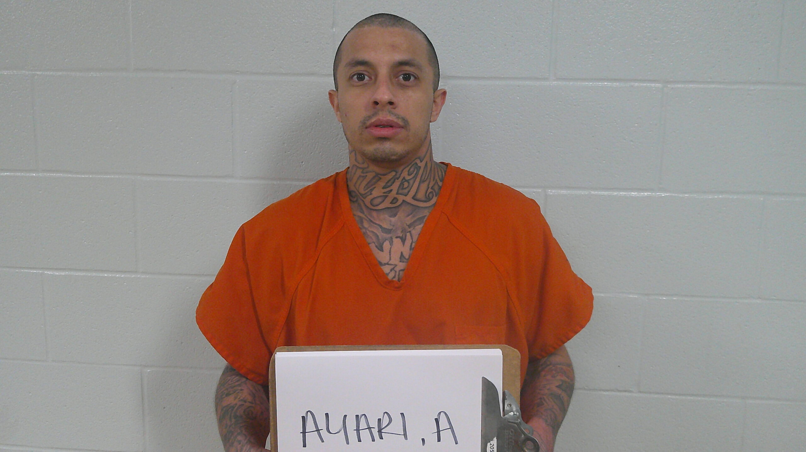 AMIR, AYARI booking photo