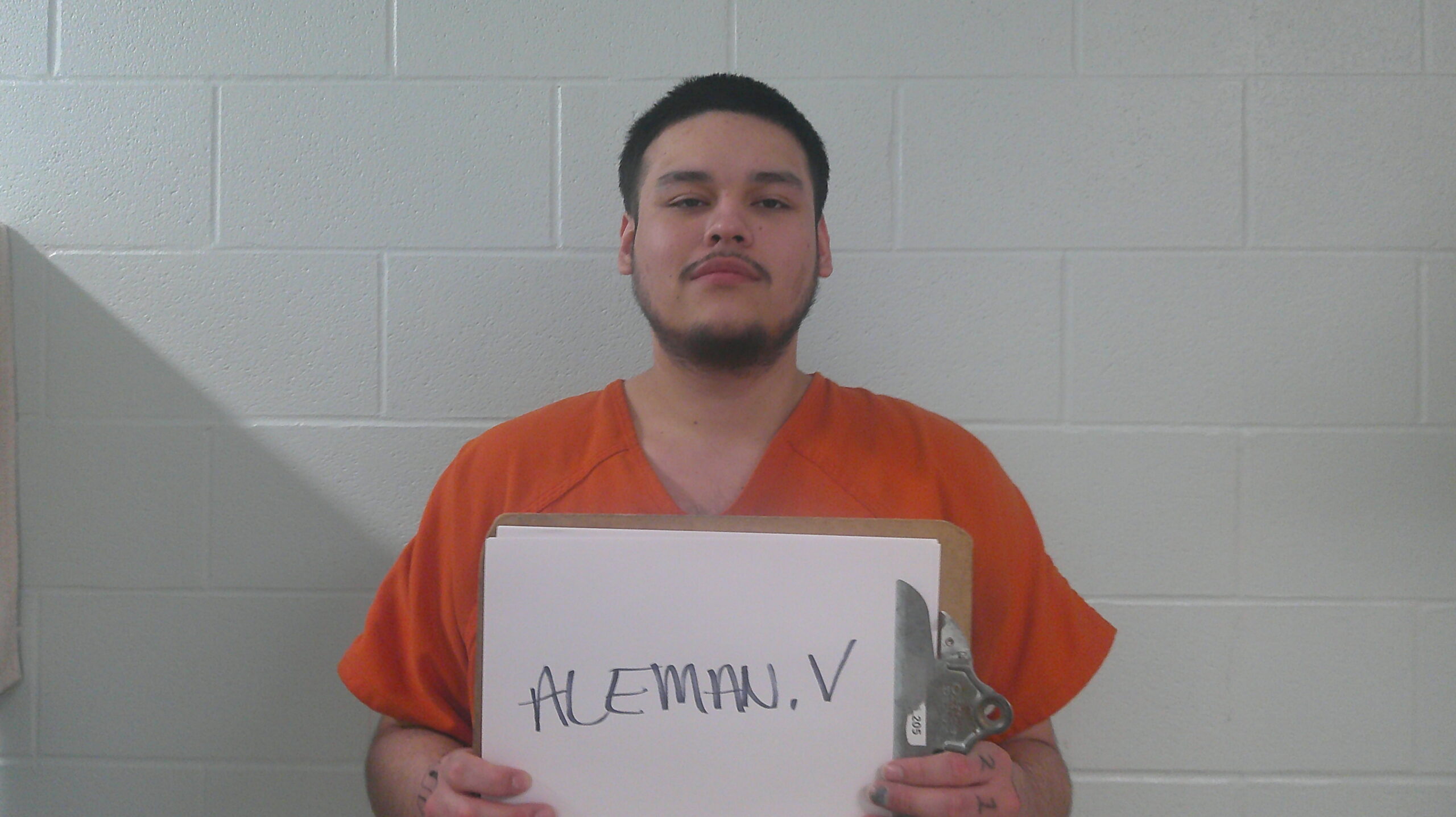 ALEMAN, VICTOR LEWIS booking photo