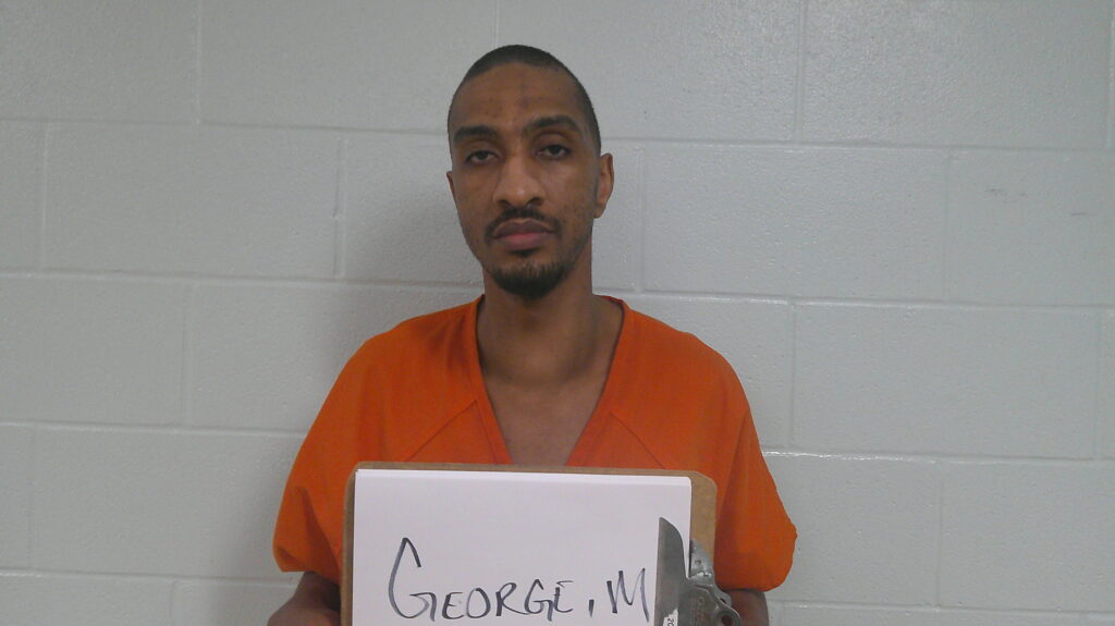 GEORGE, MICHAEL WELLINGTON arrest record in Burnet County, Texas GEORGE, MICHAEL WELLINGTON arrested in Burnet County, Texas mugshot