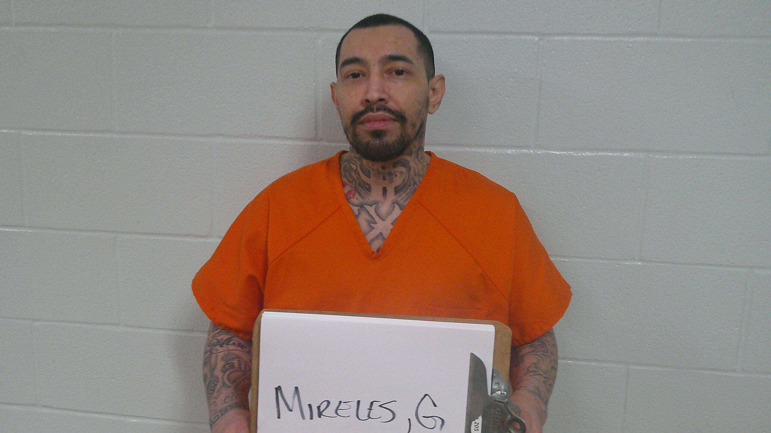 MIRELES, GABRIEL LEE booking photo