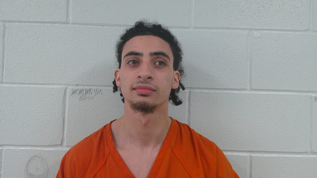 HARDY, EMMANUEL arrested in Burnet County, Texas mugshot