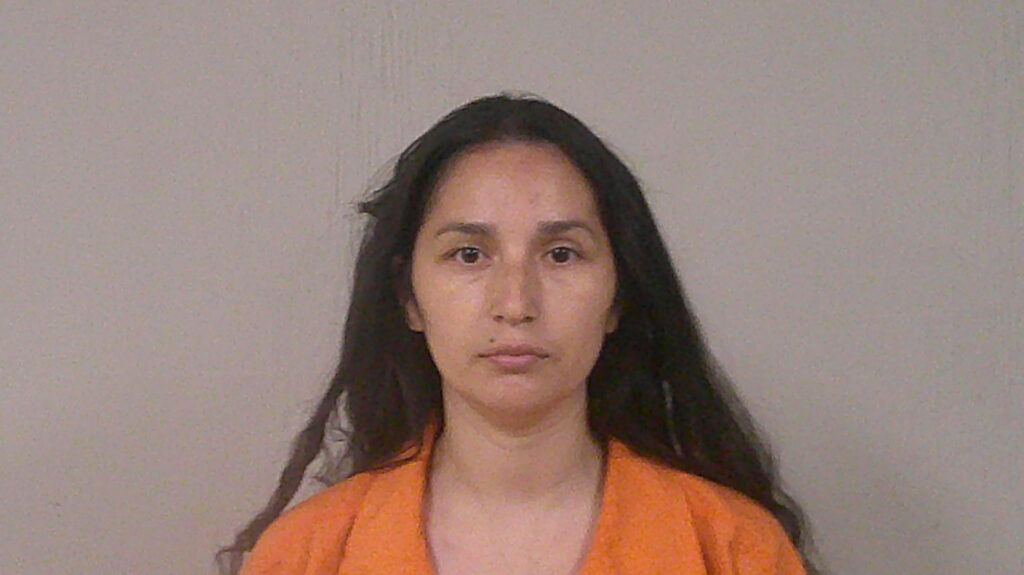 SELVERA, MARICELLA arrested in Burnet County, Texas mugshot