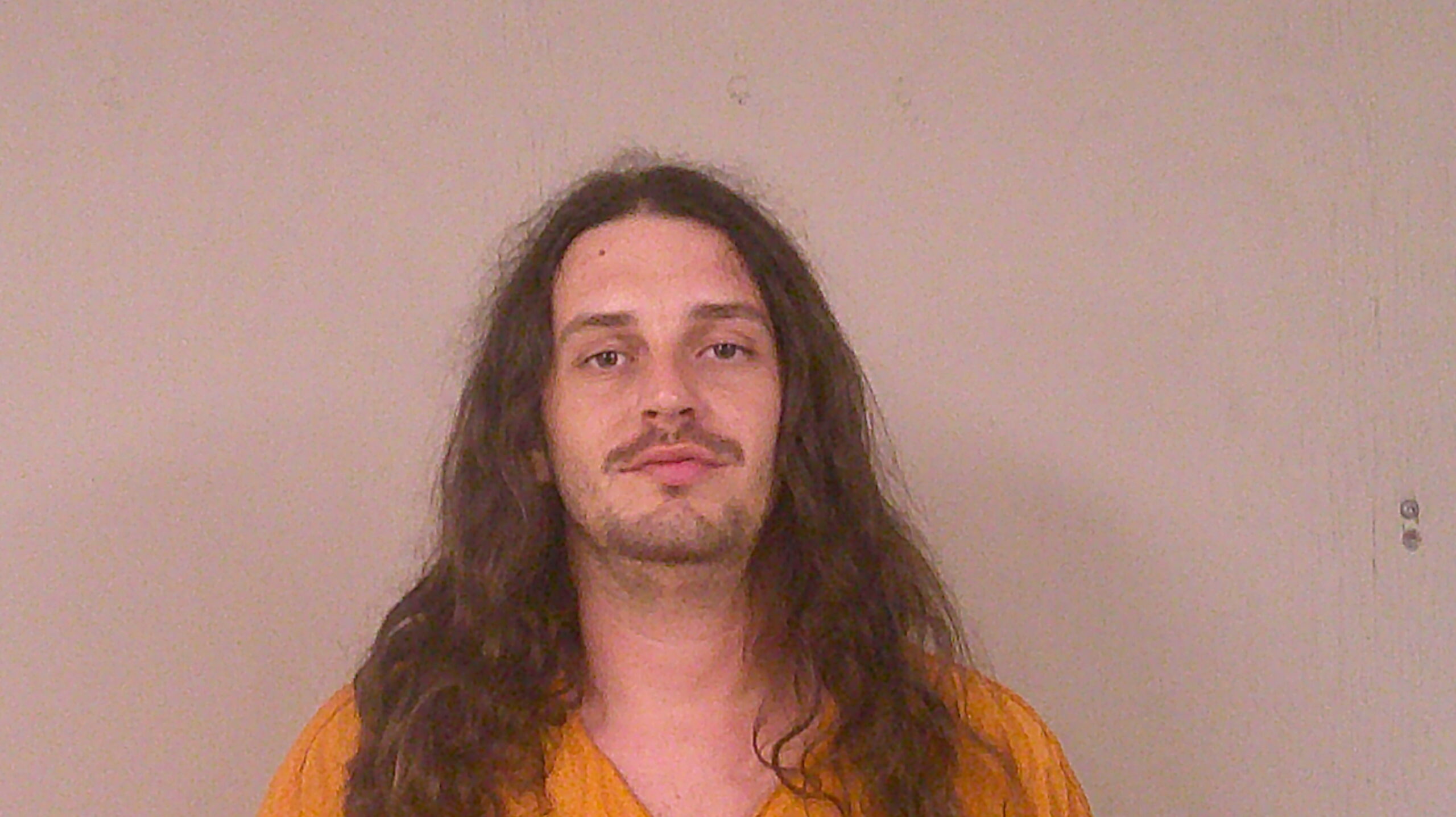 SHELTON, BRANDON RUSSELL booking photo