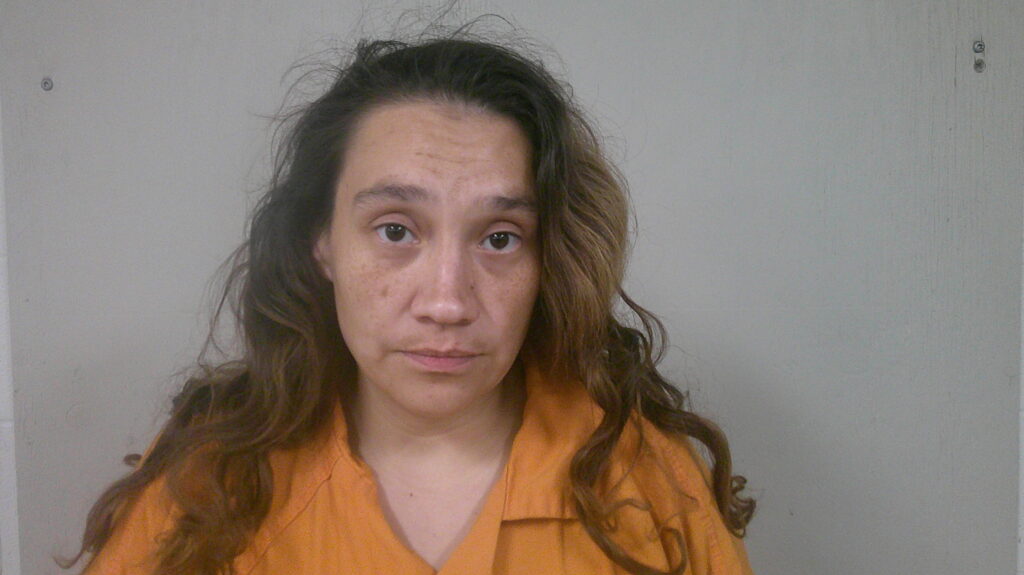 PEREZ, AMANDA MARIE arrest record in Burnet County, Texas PEREZ, AMANDA MARIE arrested in Burnet County, Texas mugshot
