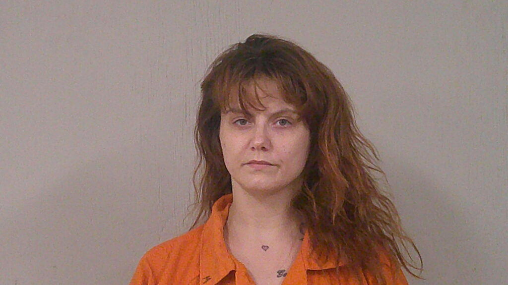 LAWSON, AMANDA NICOLE arrested in Burnet County, Texas mugshot