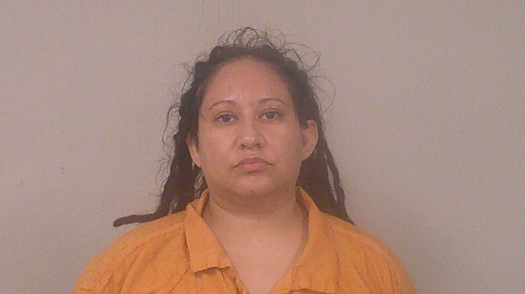 DAVIS, TANYA FRANCES arrested in Burnet County, Texas mugshot