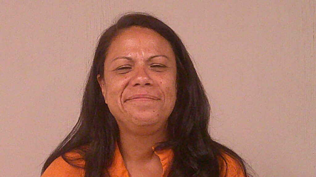 DRISCOL, AMY SUZETTE arrested in Burnet County, Texas mugshot