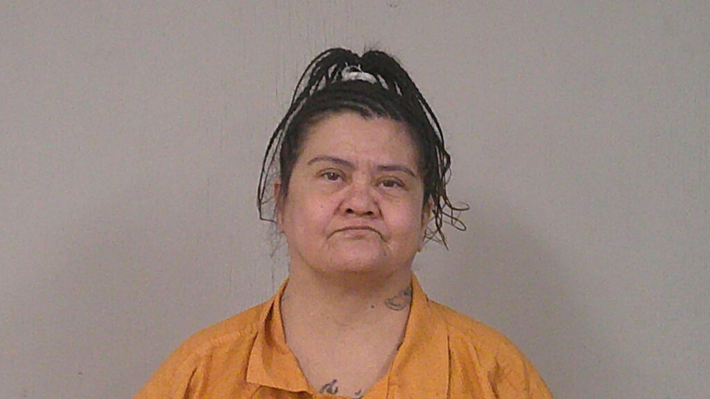 HERRERA, ANITA arrested in Burnet County, Texas mugshot