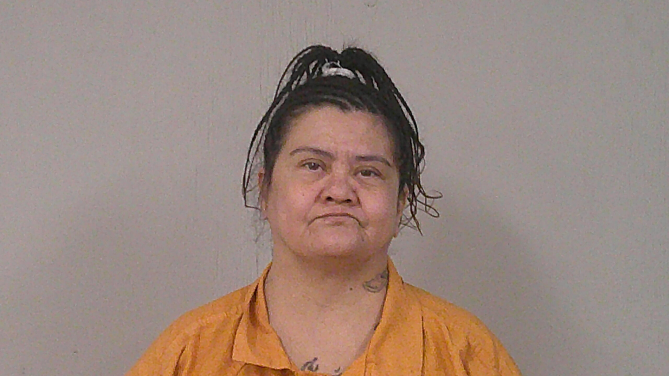 HERRERA, ANITA booking photo