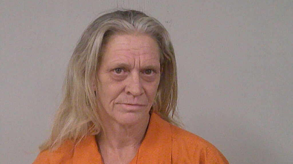 PARKS, AUDRA DENISE arrest record in Burnet County, Texas PARKS, AUDRA DENISE arrested in Burnet County, Texas mugshot