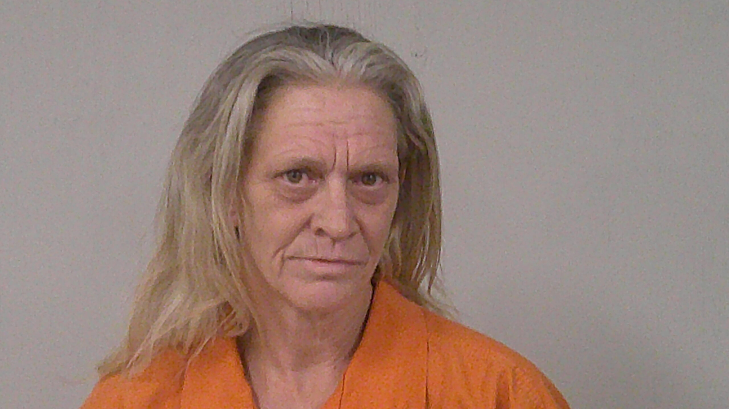 PARKS, AUDRA DENISE booking photo