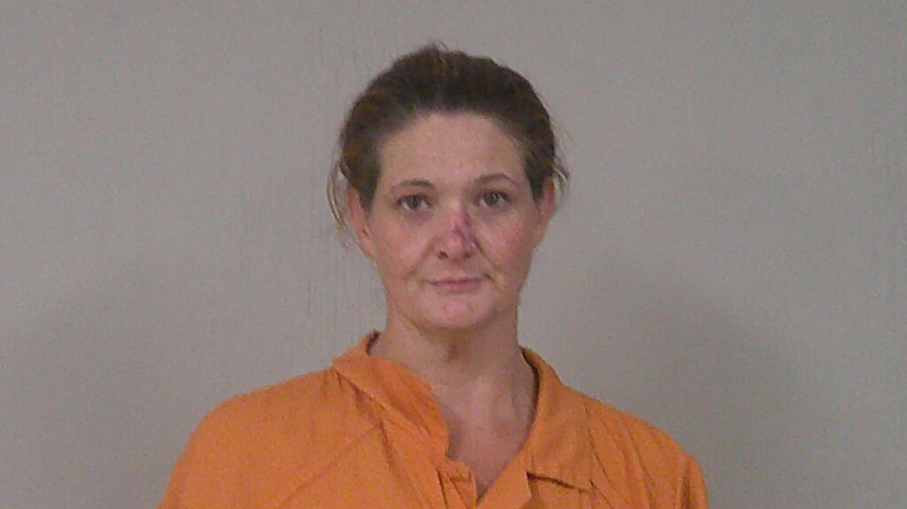 STONE, CHANEL NICHOLE arrest record in Burnet County, Texas STONE, CHANEL NICHOLE arrested in Burnet County, Texas mugshot