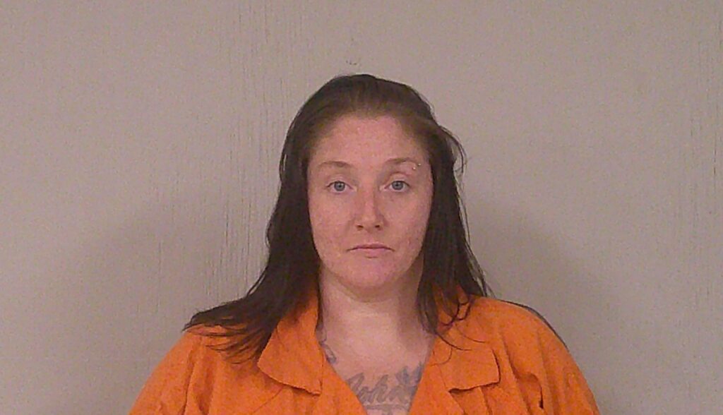 FLETCHER, KLENA CLAUDENE arrest record in Burnet County, Texas FLETCHER, KLENA CLAUDENE arrested in Burnet County, Texas mugshot