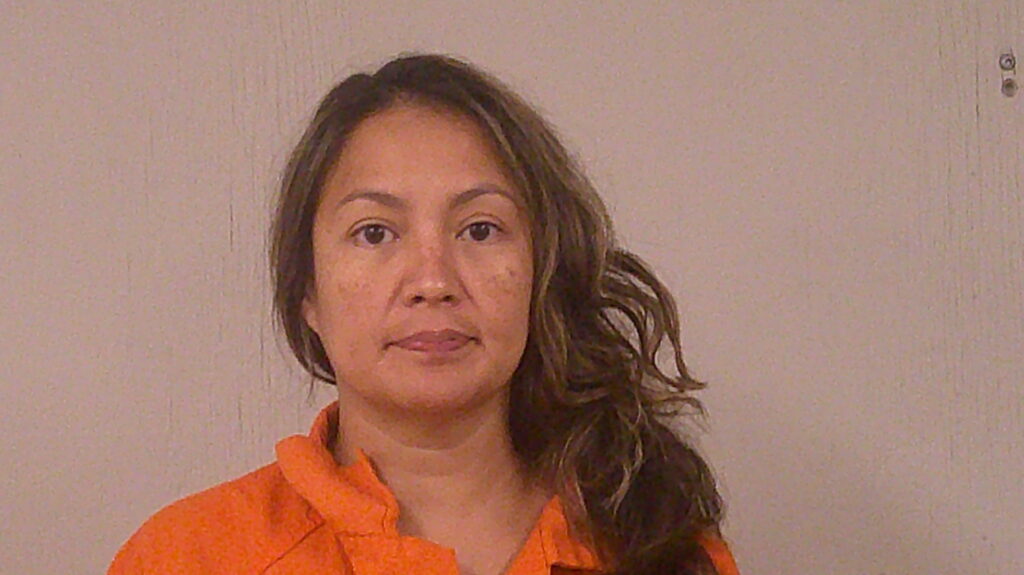 HINOJO, NANCY arrested in Burnet County, Texas mugshot
