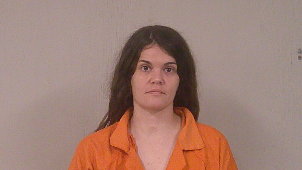 BANDY, SHELBI RENEE arrested in Burnet County, Texas mugshot