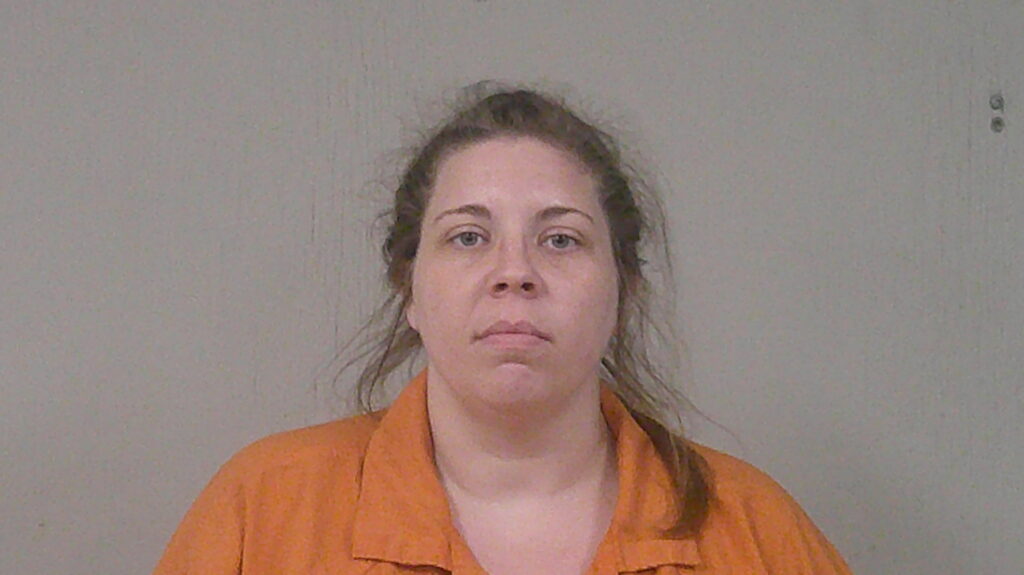 BROWN, JAIMIE ELIZABETH arrested in Burnet County, Texas mugshot
