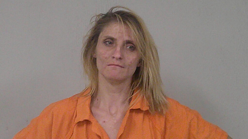 HODGE, PENNIE JOANNA arrest record in Burnet County, Texas HODGE, PENNIE JOANNA arrested in Burnet County, Texas mugshot