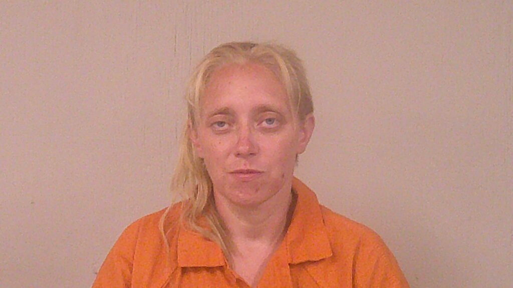 BISHOP, SHANNON RENE arrested in Burnet County, Texas mugshot