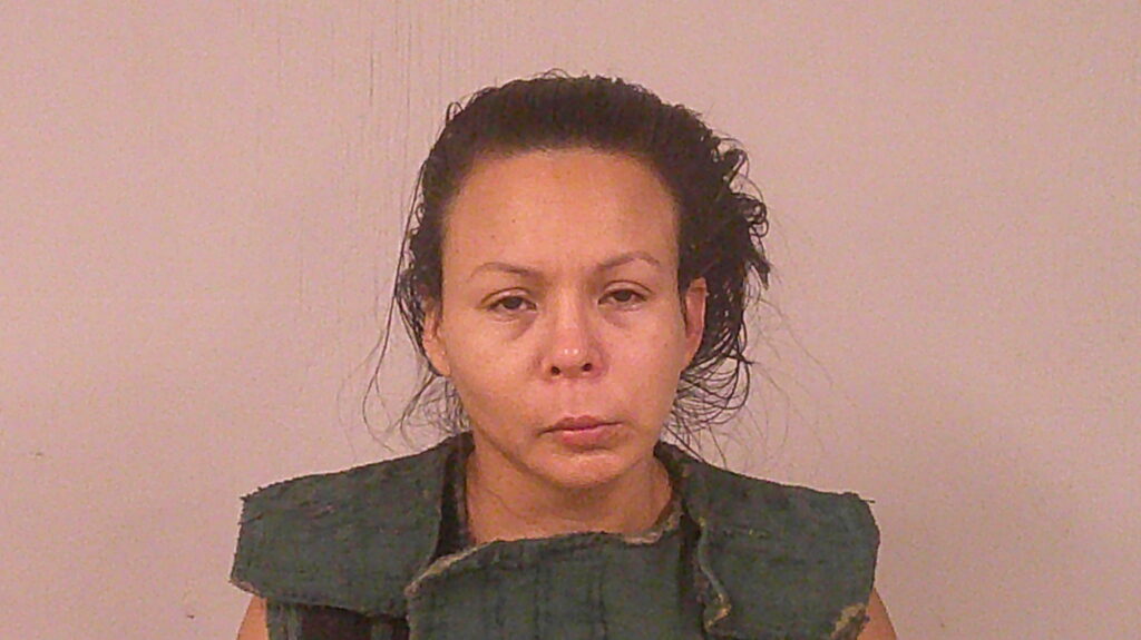 JENKINS, ANABELLA FIGUEROA arrested in Burnet County, Texas mugshot