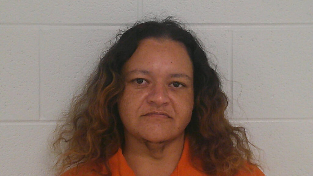DELEON, LISA MARIE arrested in Burnet County, Texas mugshot