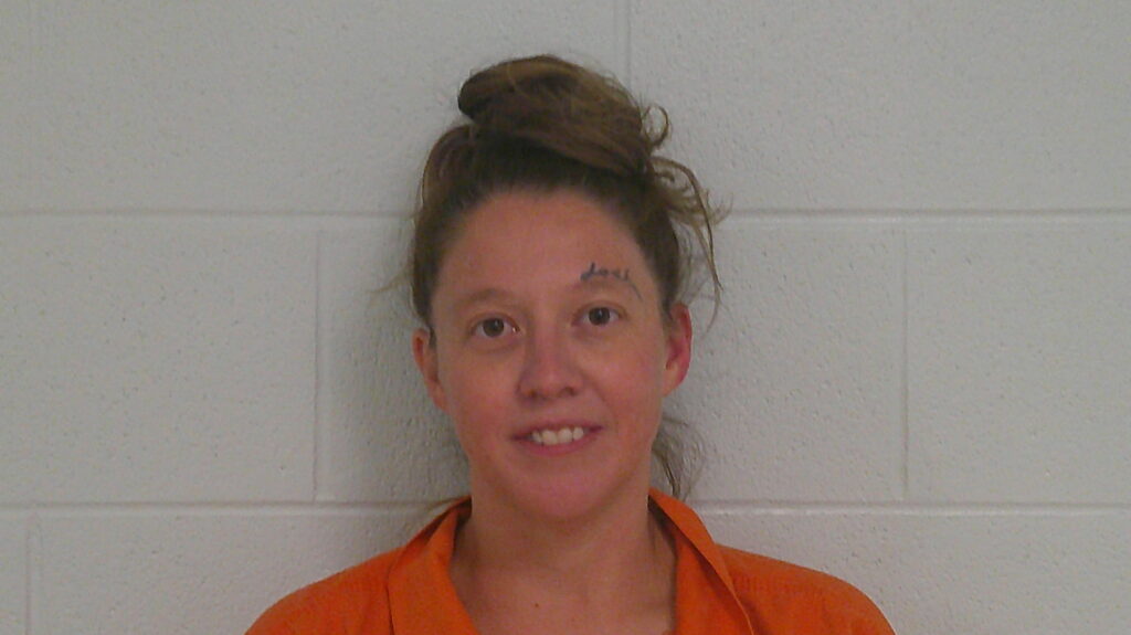 CHAMPION, VALERIE NICOLE arrested in Burnet County, Texas mugshot