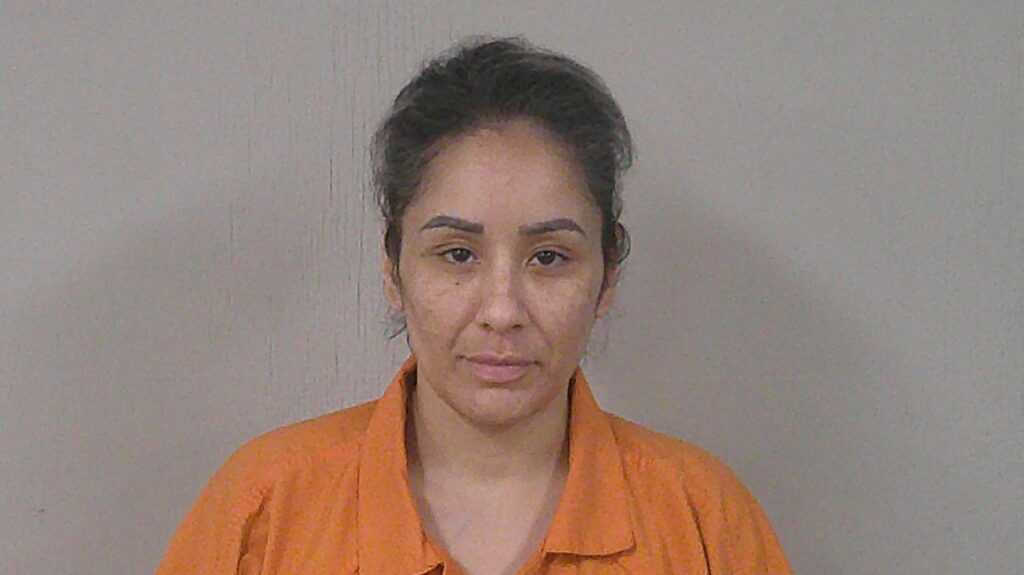 RUBIO, ELVIRA arrested in Burnet County, Texas mugshot